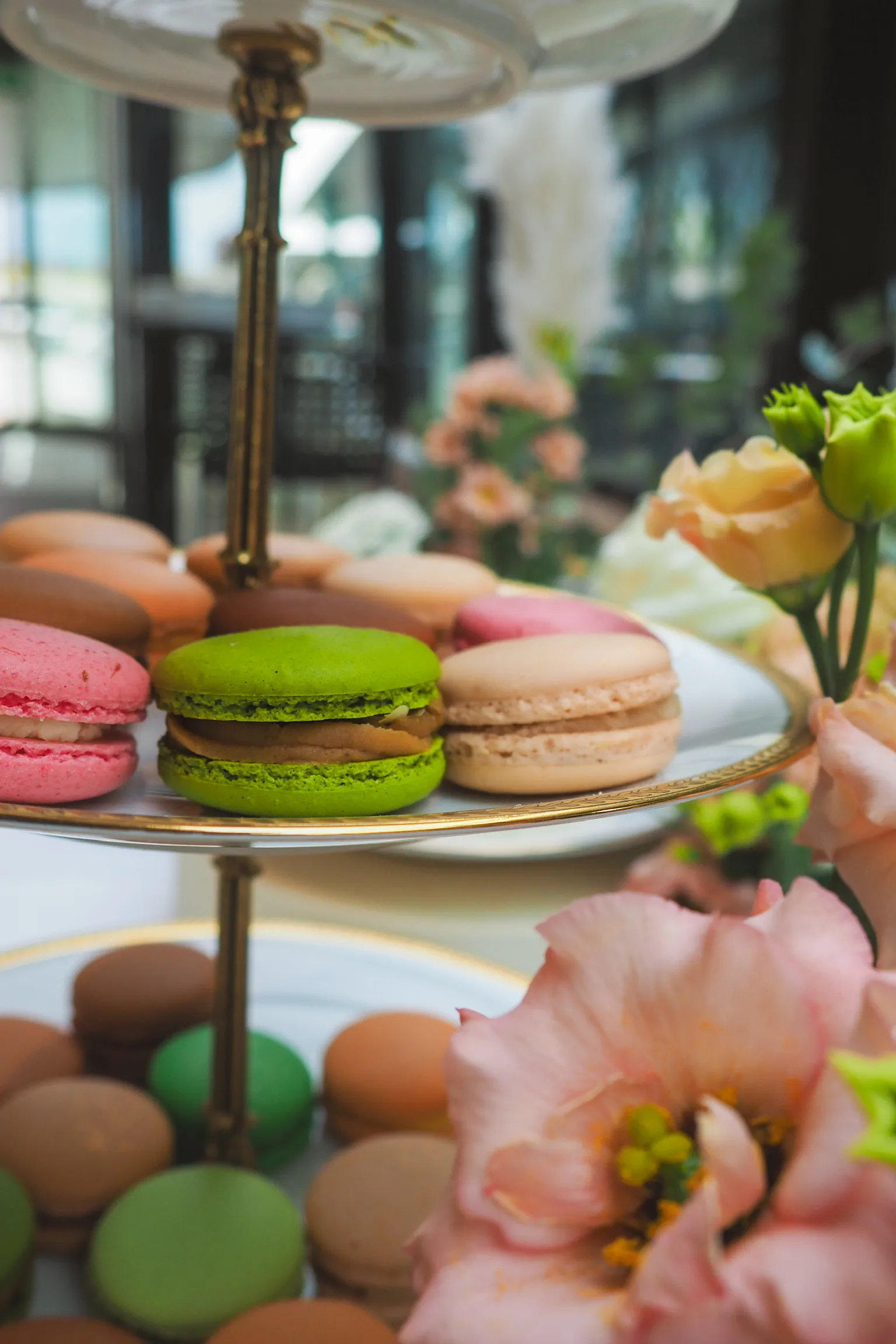 Macarons méditérrannéens